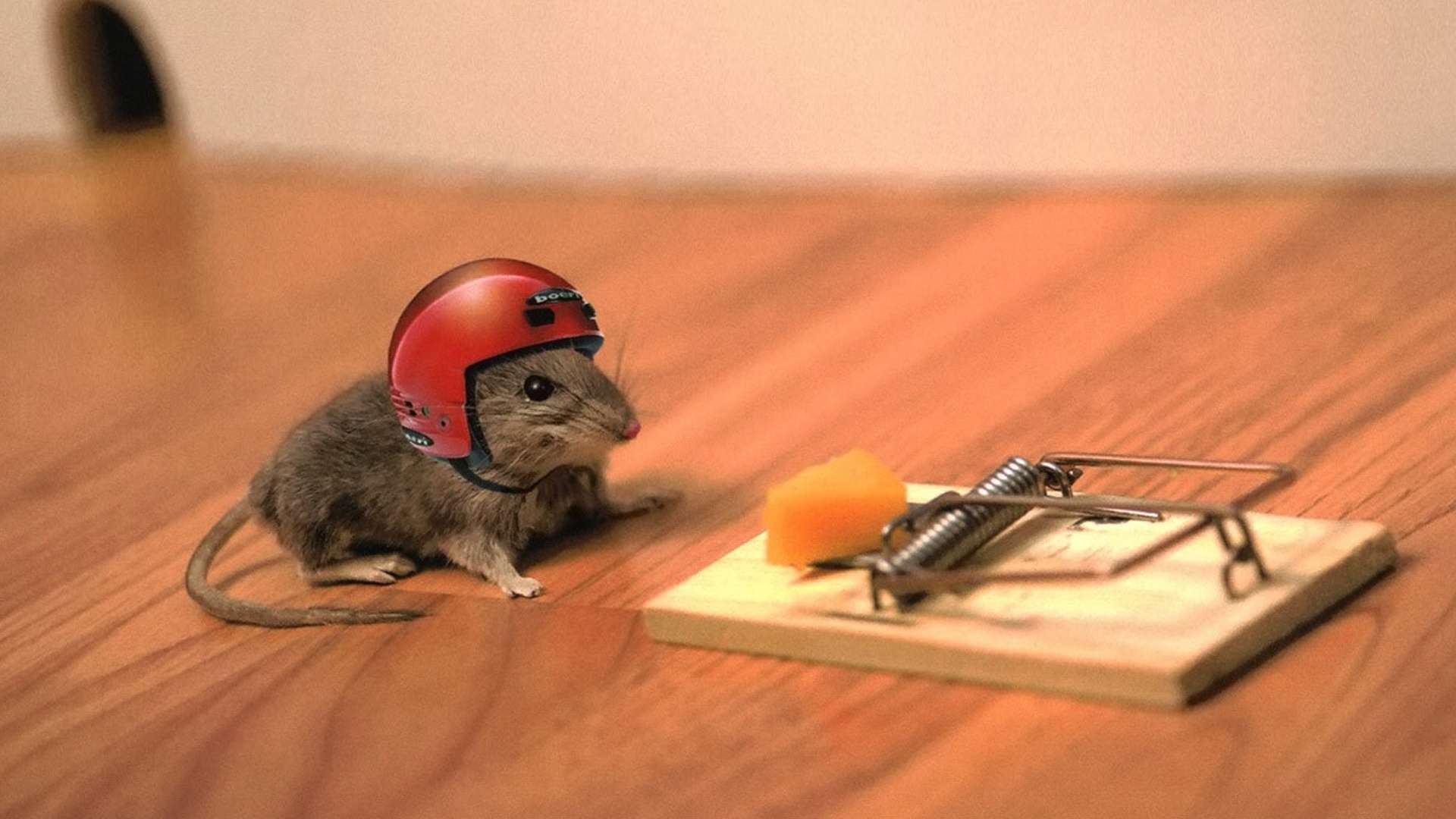 this should be the thumbnail image eh